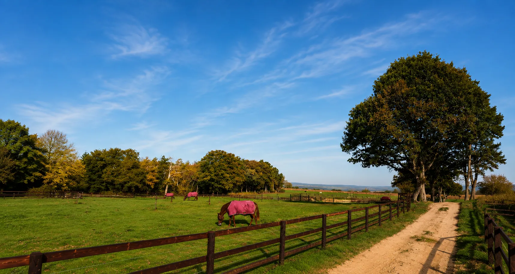 Le Domaine de l’Étang à Saint-Aubin-de-Locquenay, dans les Alpes Mancelles