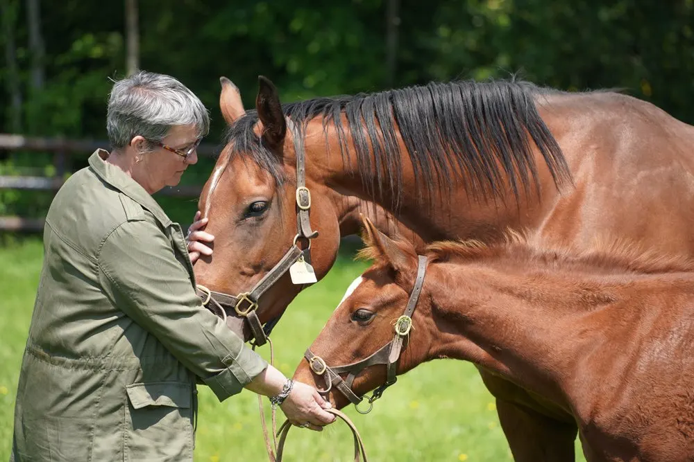 Une éleveuse du domaine auprès d’une poulinière et de son poulain